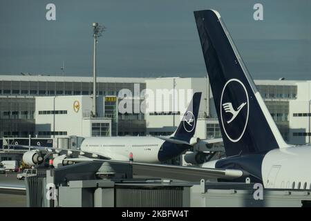 Flugzeugschwänze mit der neuen Lufthansa-Lackierung und dem Logo auf dem vertikalen Stabilisator ist das linke Flugzeug ein Airbus A340 mit 4 Triebwerken. Am frühen Morgen Flugverkehr Bewegung von Lufthansa-Flugzeugen mit ihrem Logo auf der Asphalt sichtbar und angedockt über Jetbridge oder Luftbrücke am Terminal am internationalen Flughafen München MUC EDDM in Bayern, Deutschland, Flughafen München. Die Deutsche Lufthansa DLH LH ist die Flaggonfluggesellschaft und größte Airline in Deutschland, die München als einen ihrer beiden Drehkreuze nutzt. Lufthansa ist Mitglied der Luftfahrtallianz Star Alliance. 26. Januar 2020 (Foto: Nicolas Economou/Nu Stockfoto