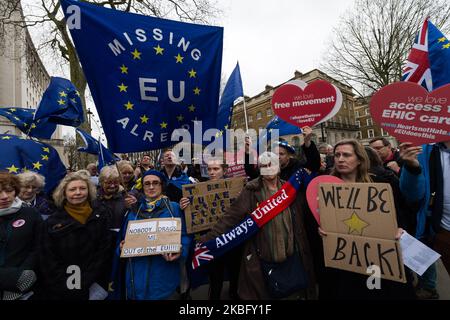 Die ehemalige Abgeordnete der britischen Labour Party Julie ward (mit einem Schal) schloss sich einer Gruppe von pro-EU-Anhängern an, die am Brexit-Tag am 31. Januar 2020 in London, England, vor der Downing Street demonstrierten. Heute wird Großbritannien die Europäische Union nach 47 Jahren Mitgliedschaft offiziell um 11 Uhr verlassen und in eine 11-monatige Übergangsphase eintreten, in der das künftige Handelsabkommen ausgehandelt wird. (Foto von Wiktor Szymanowicz/NurPhoto) Stockfoto