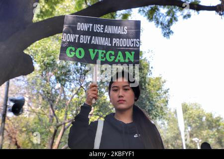 Menschen nehmen an einem Protest Teil Satyagraha 2,0 (Freiheit für Tiere) in Solidarität mit den Tieren, die jedes Jahr getötet werden und am 01. Februar 2020 in Jantar Mantar in Neu-Delhi, Indien, geistig, körperlich und sexuell missbraucht werden (Foto: Nasir Kachroo/NurPhoto) Stockfoto