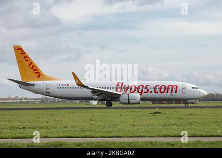 Pegasus Boeing 737-800-Verkehrsflugzeug als Landeanflug und Taxxing auf der Start- und Landebahn Polderbaan im internationalen Flughafen Amsterdam Schiphol AMS EHAM in der niederländischen Stadt. Das Flugzeug Eine Boeing 737 Next Gen 737-82R(WL) mit Winglets, 2x CFMI-Triebwerken hat die Registrierung TC-CPI und den Namen Almira. Pegasus Airlines PC PGT oder Pegasus Hava Ta??mac?l??? A.? Ist eine türkische Low-Cost-Fluggesellschaft mit Drehkreuz am Internationalen Flughafen Istanbul Sabiha Gökçen SAW LTFJ. Die Fluggesellschaft erlitt am 5. Februar 2020 einen Unfall, als ein Flugzeug auf der Start- und Landebahn des Flughafens Sabiha in 3 Teile einstürzte. Amsterdam, Niederlande Stockfoto