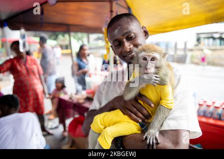 Hindu-Anhänger hält während des Thaipusam-Festivals in Kuala Lumpur, Malaysia, am 07. Februar 2020 einen Affen in den Batu-Höhlen. Thaipusam ist ein hinduistisches Fest, das vor allem von der tamilischen Gemeinde gefeiert wird. Eifrige Anhänger werden beten und Gelübde ablegen, wenn die Gebete erhört werden, und sie erfüllen die Gelübde, indem sie Teile ihres Körpers wie Wangen, Zungen und Rücken durchbohren, bevor sie einen „Kavadi“ oder Milchbehälter auf einer etwa vier Kilometer langen Glaubensreise tragen. Das Festival findet bis zum 09. Februar statt. (Foto von Chris Jung/NurPhoto) Stockfoto