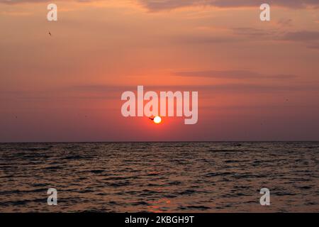 Möwen fliegen bei Sonnenaufgang über dem Meer. Sommerstrand mit blauem Wasser und purpurem Himmel bei Sonnenuntergang. Stockfoto