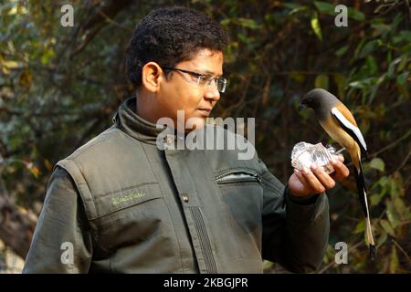 Tourist genießen mit dem Rufous Treepie Vogel im Ranthambore National Park in Sawai Madhopur Bezirk, Rajasthan, Indien am 9. Februar 2020. (Foto von STR/NurPhoto) Stockfoto