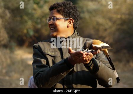 Tourist genießen mit dem Rufous Treepie Vogel im Ranthambore National Park in Sawai Madhopur Bezirk, Rajasthan, Indien am 9. Februar 2020. (Foto von STR/NurPhoto) Stockfoto