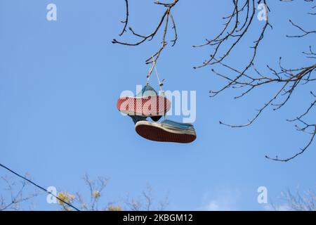 Ein Paar Sportschuhe, die an den Ästen von Bäumen hängen Stockfoto