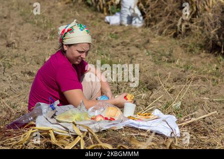 Eine ukrainische Frau, die einen Herbst auf dem Feld isst Stockfoto