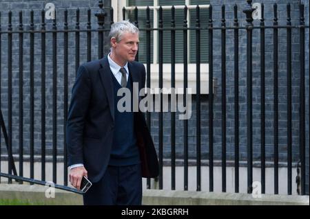 Staatsminister Baron Goldsmith von Richmond Park verlässt die Downing Street 10 im Zentrum Londons, nachdem er an einer Kabinettssitzung am 11. Februar 2020 in London, England, teilgenommen hatte. Es wird erwartet, dass Premierminister und seine Regierung grünes Licht für das Hochgeschwindigkeitsbahnprojekt HS2 geben werden, trotz der Bedenken hinsichtlich der Kosten, die jetzt auf £106 Milliarden geschätzt werden, und der potenziellen Umweltauswirkungen seines Baus. (Foto von Wiktor Szymanowicz/NurPhoto) Stockfoto