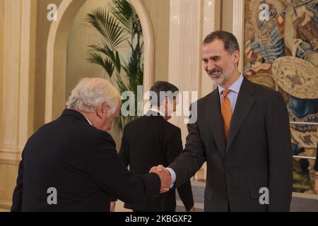 Seine Majestät König von Spanien, Herr König, der spanische König, vor der Audienz beim Rat der Delegation der Größe Spaniens und der Titel des Königreichs, Madrid, Spanien (Foto: Antonio Navia/NurPhoto) Stockfoto