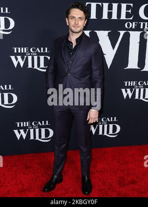 HOLLYWOOD, LOS ANGELES, KALIFORNIEN, USA - 13. FEBRUAR: Colin Woodell kommt bei der Weltpremiere von „The Call of the Wild“ der 20. Century Studios, die am 13. Februar 2020 im El Capitan Theatre in Hollywood, Los Angeles, Kalifornien, USA, stattfand. (Foto von Xavier Collin/Image Press Agency/NurPhoto) Stockfoto