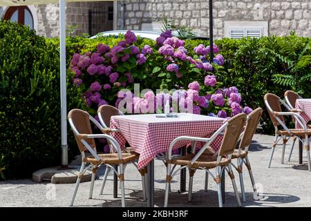 Tisch und Stühle im Sommerhof vor dem Hintergrund von grünen Büschen und blühenden Hortensien Stockfoto