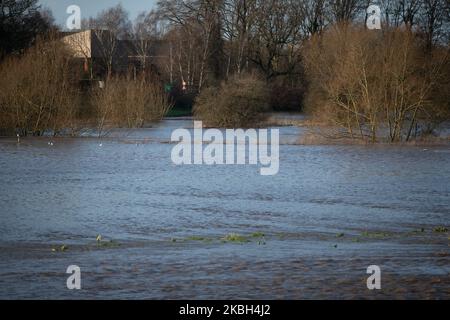 Hochwasser auf dem angrenzenden Land zum River Weaver in Nantwich, Großbritannien, am Sonntag, den 16. Februar 2020. Der River Weaver in Nantwich, Vereinigtes Königreich, hat seine Ufer geplatzt und das angrenzende Land, das den Flusslauf des River Weaver umgibt, infolge der starken Regenfälle, die durch den Sturm Dennis verursacht wurden, überschwemmt. (Foto von Jonathan Nicholson/NurPhoto) Stockfoto