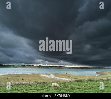 Nach einem trockenen Sommer im Stausee von Rutland, England, schwebt im November 2022 eine dunkle Regenwolke über einem niedrigen Wasserstand. Stockfoto