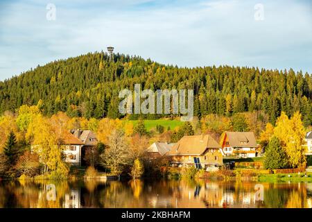 Herbstpanorama des Schluchsee mit dem Schwarzwald im Hintergrund Stockfoto
