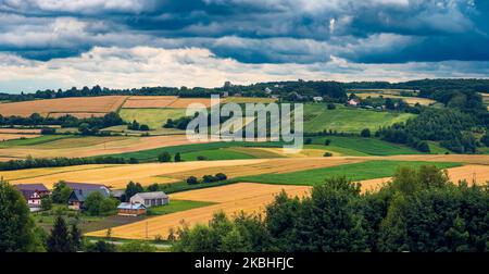 Ein wunderschönes Panorama auf den Westen von Roztocze. Hügelige Hügel, Felder und Wälder. Ein Bauernhof zwischen den Feldern. Roztocze ist als Polens Toskana bekannt. Hoszn Stockfoto