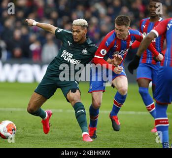 Joelinton von L-R Newcastle United und James McCarthy von Crystal Palace während der englischen Premier League zwischen Crystal Palace und Newcastle United am 22. Februar 2020 im Selhurst Park Stadium, London, England (Foto by Action Foto Sport/NurPhoto) Stockfoto