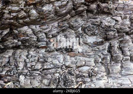 Gebrannter Baumrinde Hintergrund. Kachelbare Textur aus verbranntem Holz. Selektiver Fokus Stockfoto