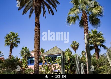 Marrakesch, Frankreich, 18. Oktober 2019. Kakteen und Palmen im Garten Majorelle. Dieser Garten ist nach seinem Gründer, dem französischen Maler Jacques Majorelle, benannt, der ihn 1931 schuf, inspiriert von den Oasen, dem islamischen Garten und dem spanisch-spanisch-maurischen Garten. 1980 von Yves Saint Laurent und Pierre Berge gekauft, gehört es heute zur Fondation Jardin Majorelle und ist mit fast 600.000 Besuchern pro Jahr eine der beliebtesten Touristenattraktionen Marokkos. (Foto von Emeric Fohlen/NurPhoto) Stockfoto