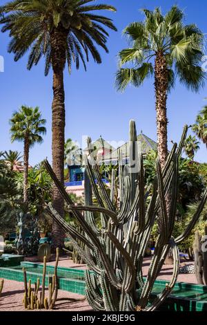 Marrakesch, Frankreich, 18. Oktober 2019. Kakteen und Palmen im Garten Majorelle. Dieser Garten ist nach seinem Gründer, dem französischen Maler Jacques Majorelle, benannt, der ihn 1931 schuf, inspiriert von den Oasen, dem islamischen Garten und dem spanisch-spanisch-maurischen Garten. 1980 von Yves Saint Laurent und Pierre Berge gekauft, gehört es heute zur Fondation Jardin Majorelle und ist mit fast 600.000 Besuchern pro Jahr eine der beliebtesten Touristenattraktionen Marokkos. (Foto von Emeric Fohlen/NurPhoto) Stockfoto