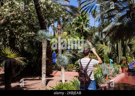 Marrakesch, Frankreich, 18. Oktober 2019. Touristen, die durch den Majorelle Garten schlendern. Dieser Garten ist nach seinem Gründer, dem französischen Maler Jacques Majorelle, benannt, der ihn 1931 schuf, inspiriert von den Oasen, dem islamischen Garten und dem spanisch-spanisch-maurischen Garten. 1980 von Yves Saint Laurent und Pierre Berge gekauft, gehört es heute zur Fondation Jardin Majorelle und ist mit fast 600.000 Besuchern pro Jahr eine der beliebtesten Touristenattraktionen Marokkos. (Foto von Emeric Fohlen/NurPhoto) Stockfoto