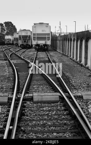 CRESCENT PARK NEW ORLEANS LOUISIANA USA Stockfoto
