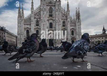 Eine allgemeine Ansicht der Piazza Duomo am 13. März 2020 in Mailand, Italien. Mit dem neuen Ministererlass bleiben alle Geschäfte geschlossen und die Menschen werden aufgefordert, ihre Häuser nicht zu verlassen. Das Stadtzentrum ist verlassen, um die Piazza Duomo zu besetzen, es gibt nur Tauben.die Zahl der Kronen-Virus-Ansteckungen wächst noch, aber mit diesen neuen Maßnahmen hoffentlich eine Verlangsamung. (Foto von Fabrizio Di Nucci/NurPhoto) Stockfoto