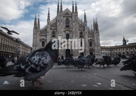 Eine allgemeine Ansicht der Piazza Duomo am 13. März 2020 in Mailand, Italien. Mit dem neuen Ministererlass bleiben alle Geschäfte geschlossen und die Menschen werden aufgefordert, ihre Häuser nicht zu verlassen. Das Stadtzentrum ist verlassen, um die Piazza Duomo zu besetzen, es gibt nur Tauben.die Zahl der Kronen-Virus-Ansteckungen wächst noch, aber mit diesen neuen Maßnahmen hoffentlich eine Verlangsamung. (Foto von Fabrizio Di Nucci/NurPhoto) Stockfoto