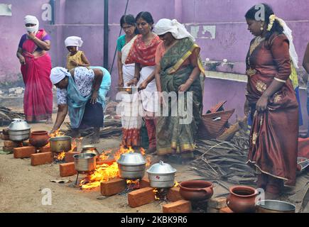 Hindu-Frauen kochen Pongala während des Attukal Pongala Mahotsavam Festivals in der Stadt Thiruvananthapuram (Trivandrum), Kerala, Indien, am 19. Februar 2019. Das Attukal Pongala Mahotsavam Festival wird jedes Jahr von Millionen Hindu-Frauen gefeiert. Während dieses Festivals bereiten Frauen Pongala (Reis gekocht mit Jaggery, Ghee, Kokosnuss sowie anderen Zutaten) im Freien in kleinen Töpfen zu, um der Göttin Kannaki zu gefallen. Pongala (was wörtlich bedeutet, überkochen) ist ein rituelles Angebot eines süßen Gerichts, bestehend aus Reisbrei, süßen braunen Melasse, Kokosraspeln, Nüssen und Rosinen. Das ist es Stockfoto