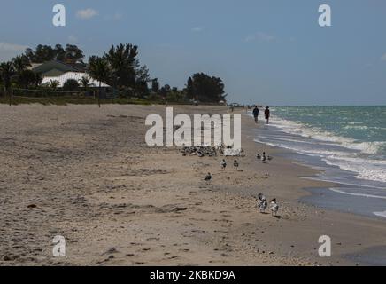 Englewood Beach in Charlotte County, Florida, USA, wurde am 22. März 2020 von den lokalen Behörden für die Öffentlichkeit gesperrt, um die Ausbreitung des Coronavirus zu verhindern. Strände würden normalerweise zu dieser Jahreszeit mit Touristen und Studenten in den Frühlingsferien voll sein, die das Wetter in Florida genießen möchten. (Foto von Thomas O'Neill/NurPhoto) Stockfoto