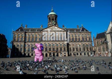 Der berühmte Dam-Platz ist fast leer, nur ein rosafarbenes Einhorn, das während der Coronavirus-Situation in den Niederlanden am 23.. März 2020 mit Tauben posiert. (Foto von Romy Arroyo Fernandez/NurPhoto) Stockfoto