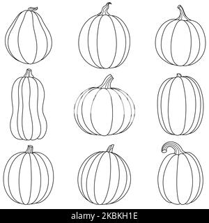 Sammlung von linearen Kürbissen für Halloween, Erntedankfest, Erntedankfest. Set von niedlichen Kürbissen in verschiedenen Formen und Größen. Cartoon-Illustrationen für Urlaubsdekor. Clipart für Karte, Poster. Stock Vektor