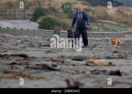 Ein Mann geht mit seinen Hunden am 26. MarchÂ 2020 am New Brighton Beach in Christchurch, Neuseeland, entlang.Â Neuseelands Gesamtzahl der ofÂ coronavirusÂ-Fälle erhöhte sich auf 283, als der countryÂ eine vierwöchige Sperre beginnt, um die Ausbreitung des Virus zu minimieren. (Foto von Sanka Vidanagama/NurPhoto) Stockfoto