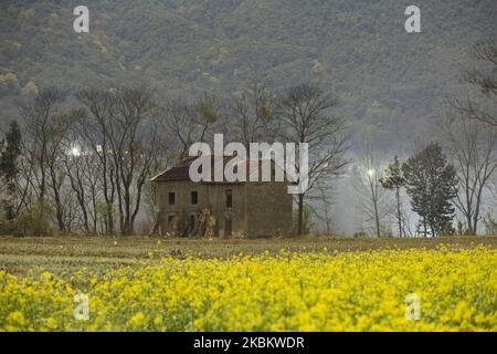 Blick auf Felder im Dorf Khokana in Nepal, am 8. März 2020, das für sein musteriertes Öl berühmt ist. (Foto von Istiak Karim/NurPhoto) Stockfoto