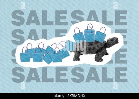 Composite Collage Bild von schwarz weiß Farben Meeresschildkröte tragen Einkaufstaschen Sonderangebot Deal isoliert auf Zeichnung Hintergrund Stockfoto