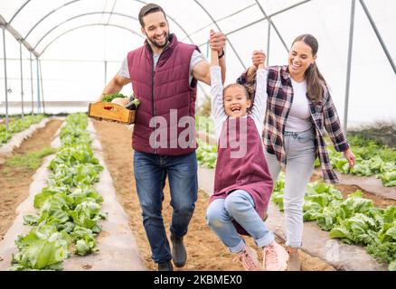 Bauernfamilie, spielen mit Kind und Gewächshaus-Landwirtschaft Schaukeltochter auf Bio-Salatfarm mit Liebe. Spielerische Familienbindung, nachhaltig Stockfoto