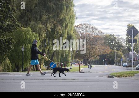 Am 16. April 2020 überquert ein Mann mit seinem Hund eine leere Straße in Christchurch, Neuseeland. Neuseeland befindet sich derzeit in Alarmstufe 4. Das Land ist nach wie vor gesperrt, abgesehen von wichtigen Dienstleistungen seit April 25. Derzeit gibt es in Neuseeland 1401 Fälle von COVID-19, und neun Personen starben an den Folgen des Virus. Der neuseeländische Premierminister Jacinda Ardern sagte, dass die Regierung entscheiden werde, ob das Land am kommenden Montag (20. April) auf Stufe 3 fallen werde. Ardern sagte, dass die wichtigsten Regeln, wenn das Land die Stufe 3 erreicht, die gleichen bleiben – zu Hause bleiben und Leben retten. (Foto von Sanka Vid Stockfoto