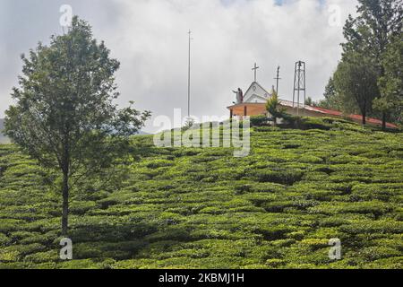 Kleine Kirche eingebettet zwischen den Teepflanzen in der Nähe eines der vielen Teestände in Munnar, Idukki, Kerala, Indien am 17. Februar 2019. Tee ist eine der Hauptkulturen in diesem Tal von rund 5400 Hektar. Es wird in die ganze Welt exportiert und Kerala ist nach Darjeeling die zweitgrößte Teeproduktion in Indien. (Foto von Creative Touch Imaging Ltd./NurPhoto) Stockfoto