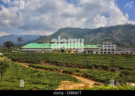 Teefabrik in einem der vielen Teestände in Munnar, Idukki, Kerala, Indien am 17. Februar 2019. Tee ist eine der Hauptkulturen in diesem Tal von rund 5400 Hektar. Es wird in die ganze Welt exportiert und Kerala ist nach Darjeeling die zweitgrößte Teeproduktion in Indien. (Foto von Creative Touch Imaging Ltd./NurPhoto) Stockfoto