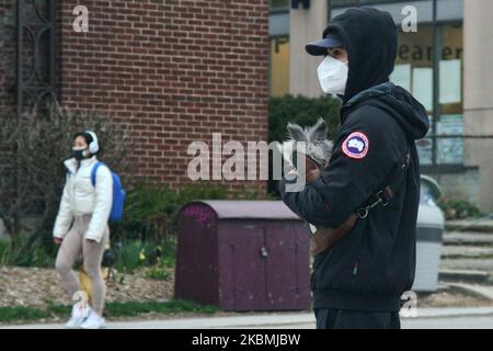 Frau, die eine Gesichtsmaske trägt, um sie vor dem neuartigen Coronavirus (COVID-19) zu schützen, als sie ihren Hund am 17. April 2020 in Toronto, Ontario, Kanada, trägt. (Foto von Creative Touch Imaging Ltd./NurPhoto) Stockfoto