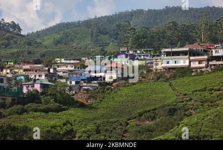 Malerische Stadt Munnar in Idukki, Kerala, Indien am 17. Februar 2019. Munnar ist eine Stadt- und Bergstation im Idukki-Viertel des südwestlichen indischen Staates Kerala. Munnar liegt auf rund 1.600 Metern (5.200 Fuß) Höhe über dem Meeresspiegel, in der Western Ghats Bergkette. Munnar wird auch als „Kaschmir Südindiens“ bezeichnet und ist ein beliebtes Ziel für Flitterwochen. (Foto von Creative Touch Imaging Ltd./NurPhoto) Stockfoto