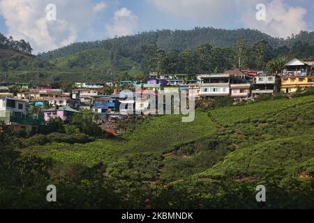 Malerische Stadt Munnar in Idukki, Kerala, Indien am 17. Februar 2019. Munnar ist eine Stadt- und Bergstation im Idukki-Viertel des südwestlichen indischen Staates Kerala. Munnar liegt auf rund 1.600 Metern (5.200 Fuß) Höhe über dem Meeresspiegel, in der Western Ghats Bergkette. Munnar wird auch als „Kaschmir Südindiens“ bezeichnet und ist ein beliebtes Ziel für Flitterwochen. (Foto von Creative Touch Imaging Ltd./NurPhoto) Stockfoto