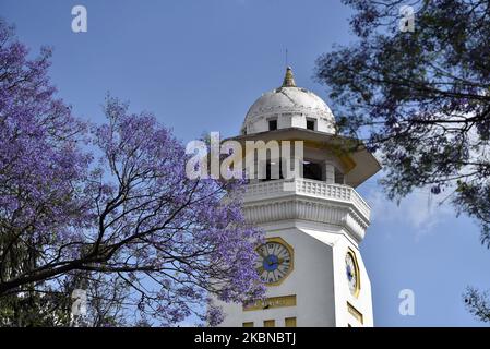 Ein Blick auf Ghantaghar und die Jacaranda-Blumenbäume, die am Dienstag, den 05. Mai 2020, in Kathmandu, Nepal, blühen und die Frühlingssaison begrüßen. (Foto von Narayan Maharjan/NurPhoto) Stockfoto