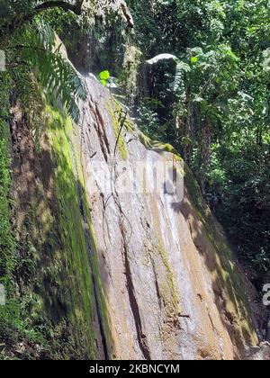 los Cocos Wasserfall in samana in der dominikanischen republik Stockfoto