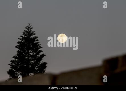 Der Vollmond über der Stadt Deir Al-Balah im zentralen Gazastreifen, am 6. Mai 2020. (Foto von Sameh Rahmi/NurPhoto) Stockfoto