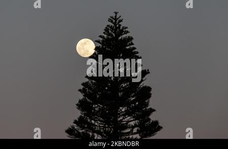 Der Vollmond über der Stadt Deir Al-Balah im zentralen Gazastreifen, am 6. Mai 2020. (Foto von Sameh Rahmi/NurPhoto) Stockfoto