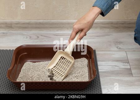 Der Mensch reinigt Katzenstreu mit einer Schaufel Stockfoto