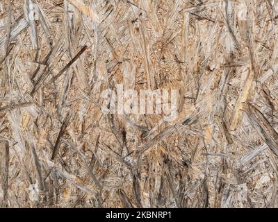 Spanplatte aus Holz, nasse Oberfläche. Hintergrund und Struktur der OSB- oder MDF-Platte. Nahaufnahme. Stockfoto