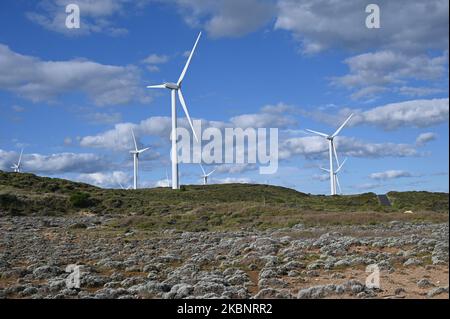 Windgeneratoren turbinen Strom in Cape Bridgewater, Australien Stockfoto