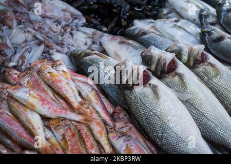 Verkauf von Meeresfrüchten auf dem Fischmarkt in Fethiye, Turkeye Stockfoto