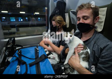 Passanten mit Katzen in einem Pendolino-Zug von Krakau nach Warschau, im Krakauer Hauptbahnhof. Der polnische nationale Eisenbahnbetreiber PKP Intercity hat den Hochgeschwindigkeitsverkehr wiederhergestellt. Die ersten Pendolino-Züge kehrten heute nach einer zweimonatigen Unterbrechung auf die Gleise zurück. Derzeit wird jedoch nur die Strecke Krakau – Warschau – Gdynia angefahren. Am Freitag, Den 22. Mai 2020, Polen (Foto: Artur Widak/NurPhoto) Stockfoto