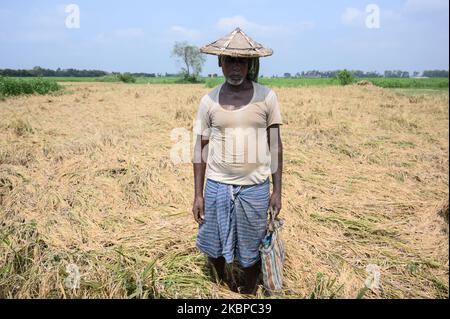 Ein Landwirt posiert am 28. Mai 2020 in Tehatta, Westbengalen; Indien. Am 20. Mai stürmte der mächtige Zyklon Amphin in die Küstenregion von Odisha und Westbengalen. Alle reifen Reispflanzen im Ackerland von Sarat Haldar (Farmer) wurden durch den verheerenden Amphan-Zyklon, der aufgrund der Sturmwirkung lange unter Wasser lag, zerstört. (Foto von Soumyabrata Roy/NurPhoto) Stockfoto